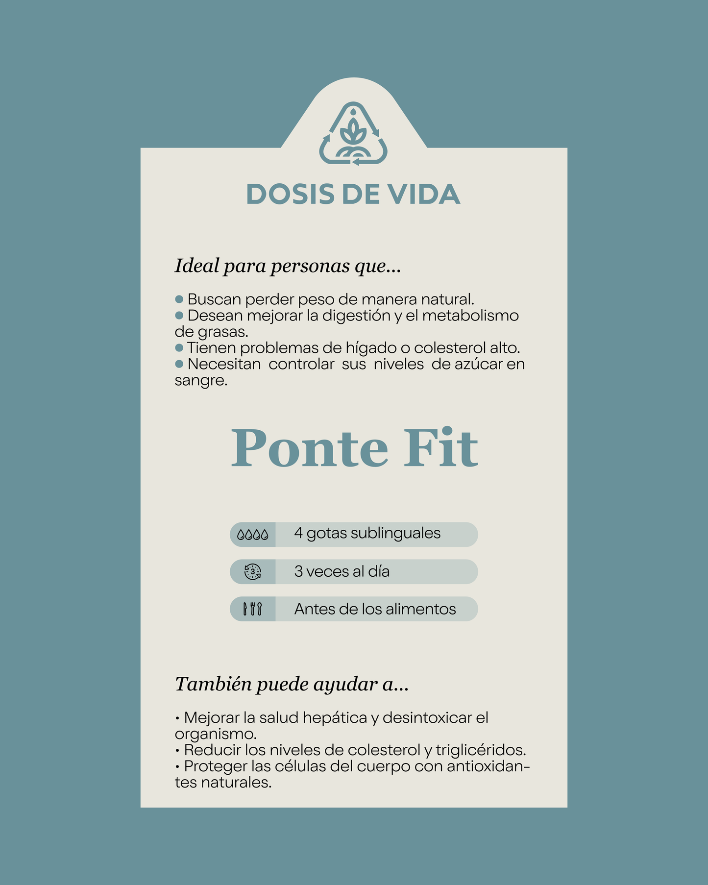 Ponte Fit