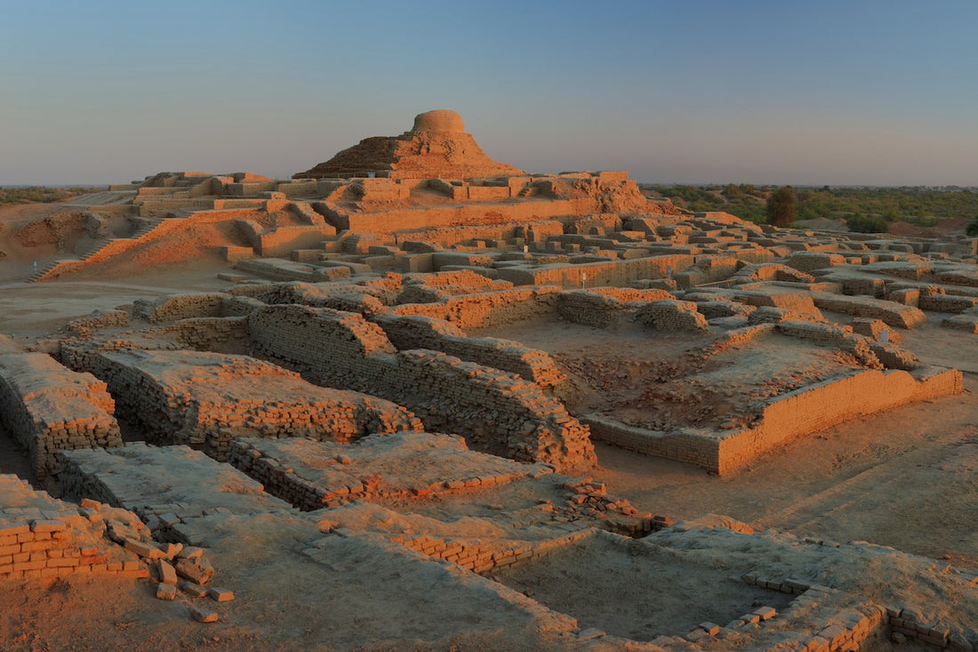 Descubriendo la Relación Centenaria del Neem: Desde Mohenjo-Daro hasta la Actualidad