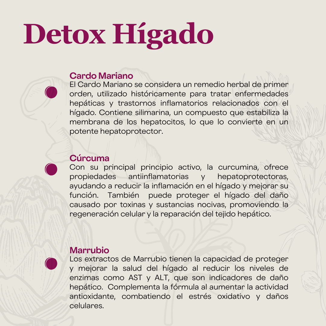 Detox Hígado