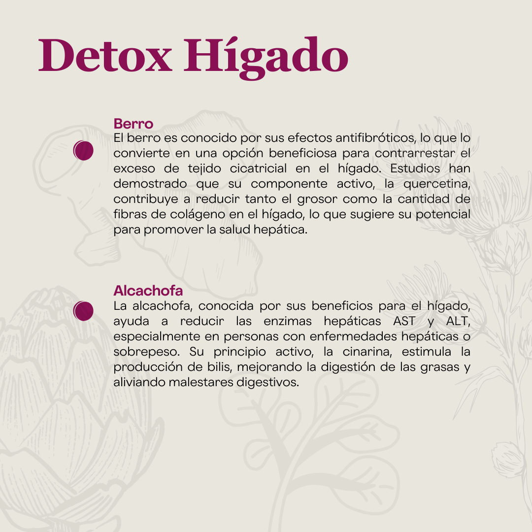 Detox Hígado